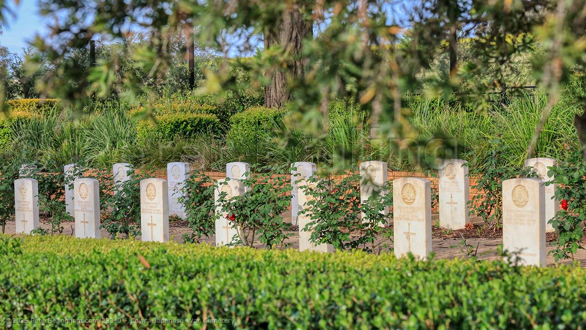 Peter Bellingham Photography Cowra Japanese War Cemetery